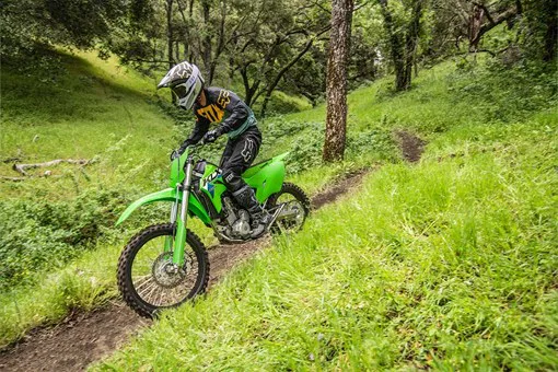 Kawasaki KLX300R - Image 2