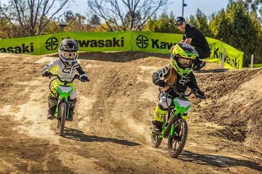 Kawasaki Elektrode - Image 2