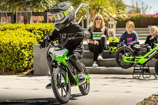 Kawasaki Elektrode - Image 5