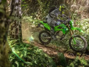 Kawasaki KLX300