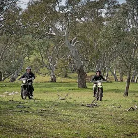 Kawasaki Stockman