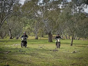 Kawasaki Stockman