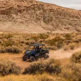 Kawasaki TERYX S LE