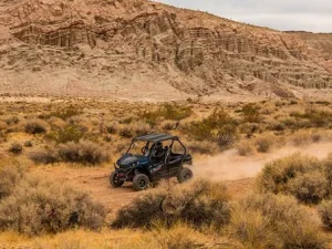 Kawasaki TERYX S LE