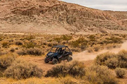 Kawasaki TERYX S LE