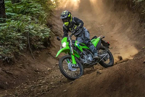 Kawasaki KLX300 - Image 3