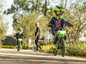 Kawasaki Elektrode